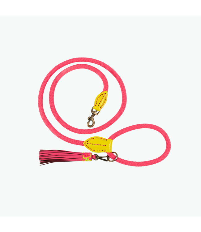 Dog with a Mission - Hundeleine Lotus