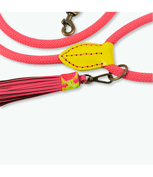 Dog with a Mission - Hundeleine Lotus