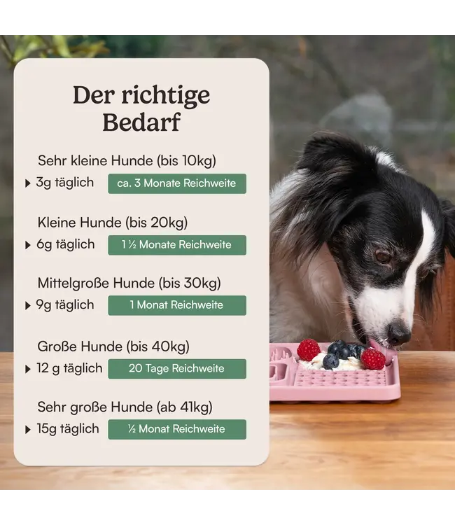 Hunderunde -  Futtertopping Magen & Darm