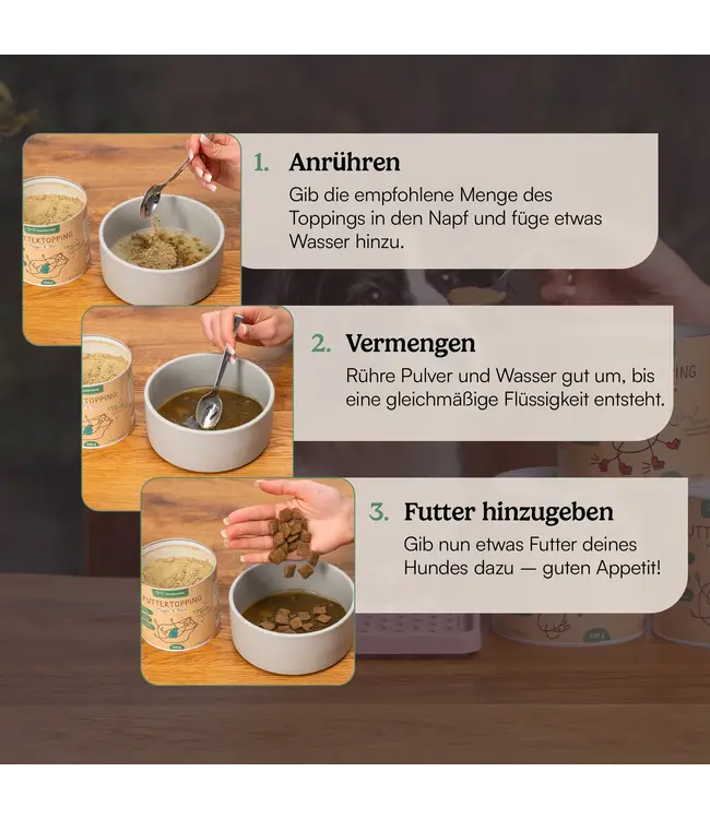 Hunderunde -  Futtertopping Zahn & Maul