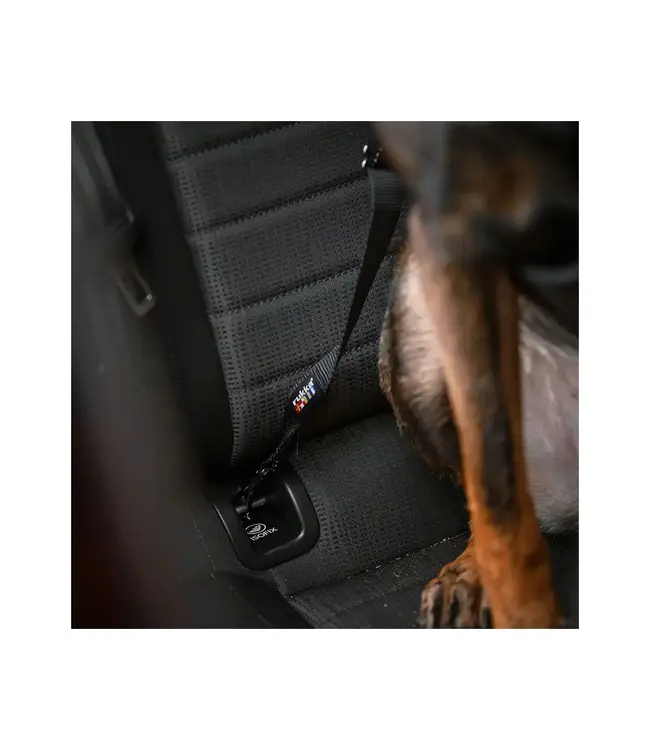 Rukka Pets - KFZ-Sicherung - Neu