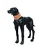 Rukka Pets - Cooling Tube