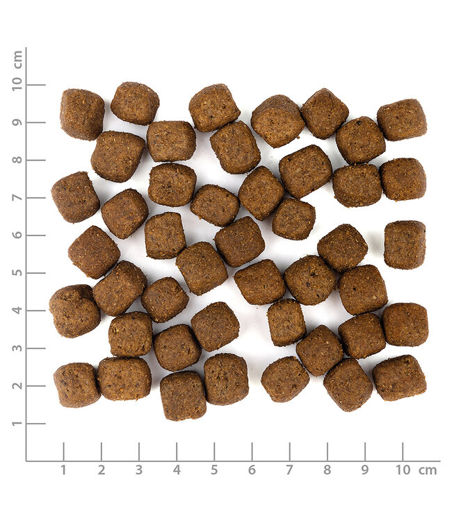 Wolfsblut - Limited Ingredients Wild Duck