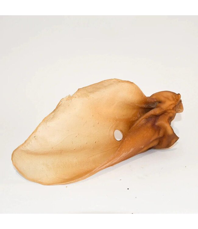 SANADOG -  Rinderohren mit Muschel - 2 Stück