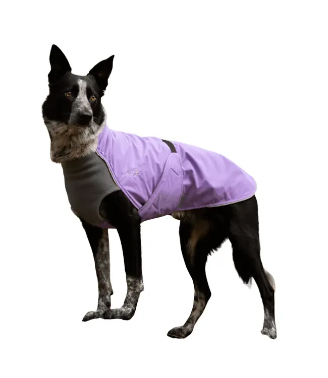 Chilly Dogs - Hundemantel Alpine Blazer