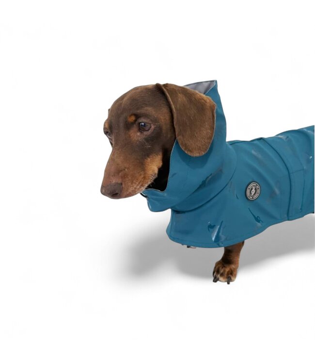 tQel  Hunderegenjacken Tintin Dino