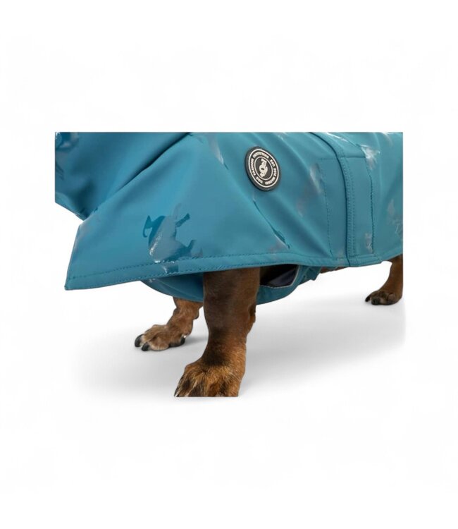 tQel  Hunderegenjacken Tintin Dino