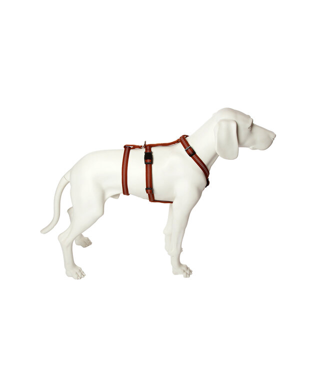 Feltmann - Hundegeschirr NoExit Sicherheitsgeschirr