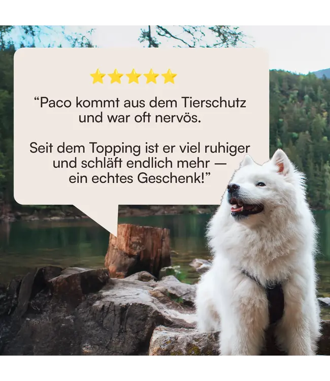 Hunderunde -  Futtertopping Ruhe & Gelassenheit - 250g