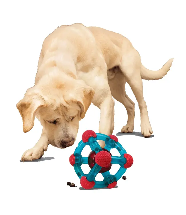 Kong - Hundespielzeug  Rewards Tinker