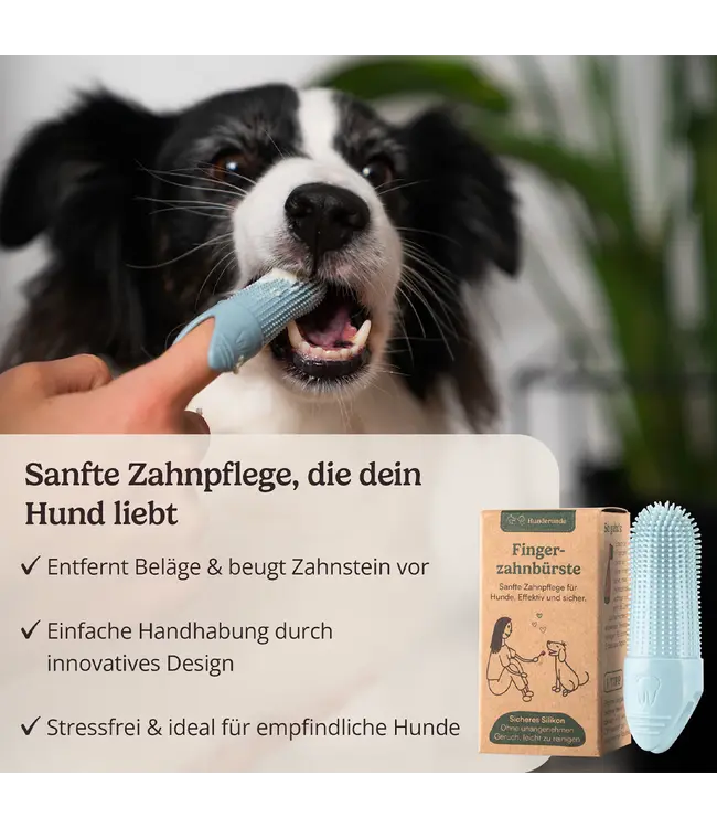 Hunderunde -  Hundezahnbürste