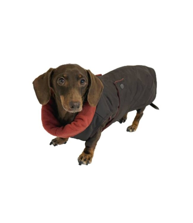 tQel  Hundemantel Maxi Brown