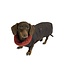 tQel  Hundemantel Maxi Brown