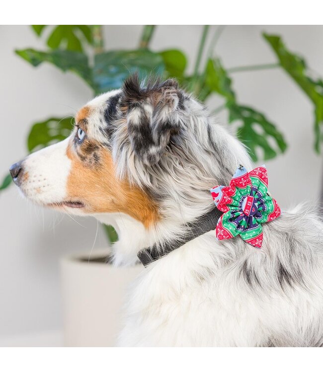 Huxley & Kent Weihnachts-Pinwheel für Halsbänder