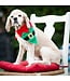 Huxley & Kent  Holiday Elf Suit Bandana