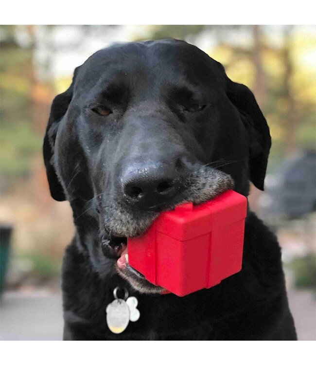 Sodapup - Sodapup Gift Box