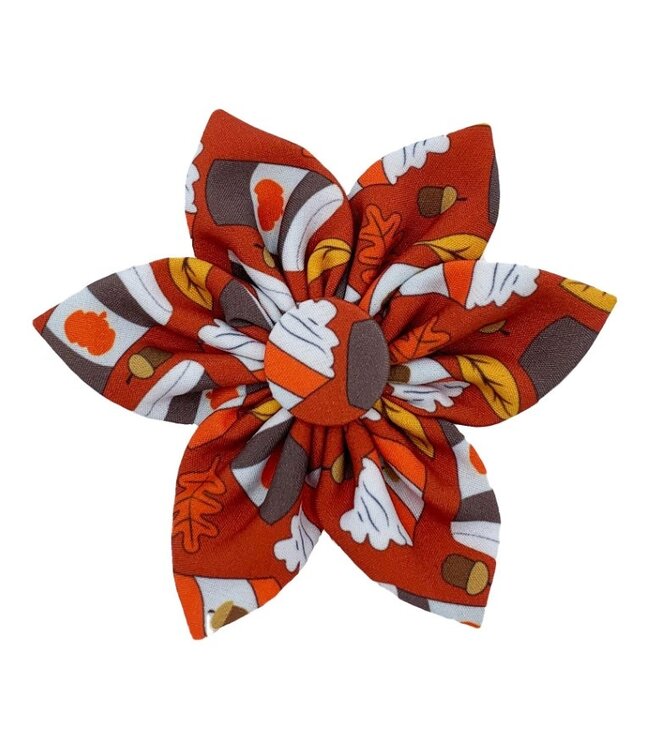 Huxley & Kent Pinwheel Pupkin Spice Latte für Halsbänder