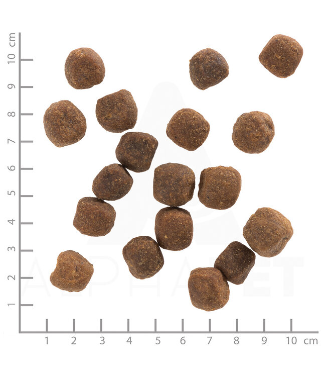 Wolfsblut - Trockenfutter  Wild Duck mit Entenfleisch