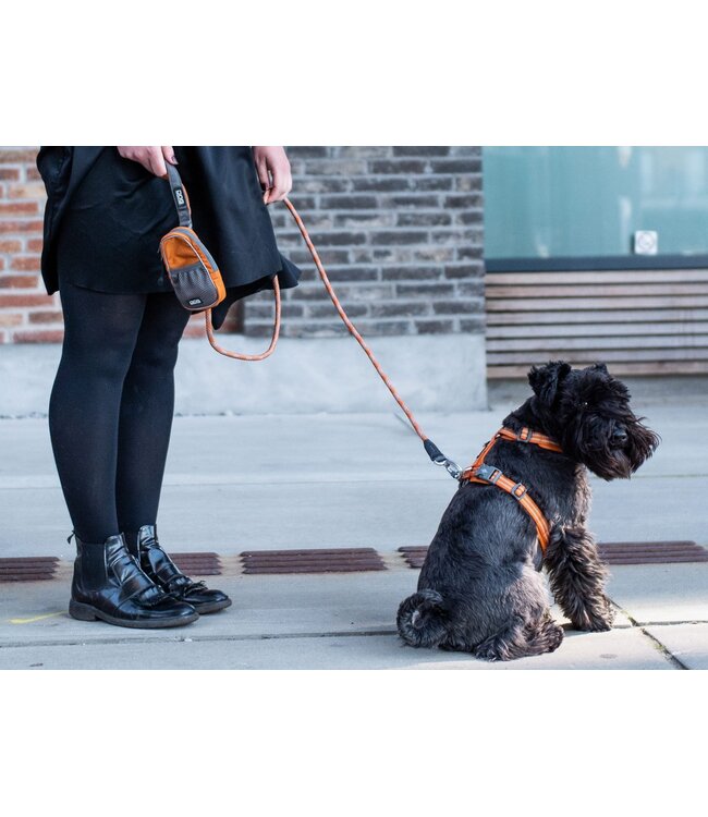 Dog Copenhagen - Hundegeschirr Comfort Walk Air™ Black