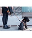 Dog Copenhagen - Hundegeschirr Comfort Walk Air™ Lemon