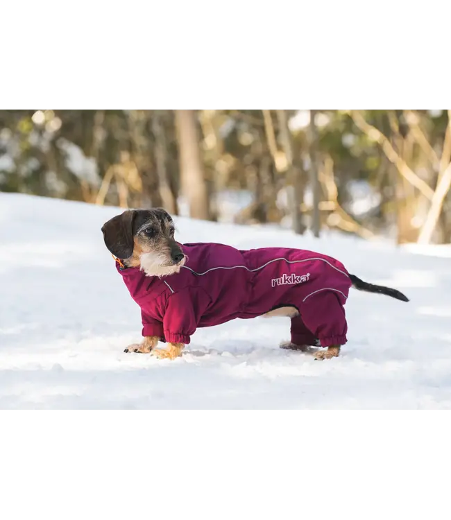 Rukka Pets - Hunde Thermo Overall 2.0 - Short Legs