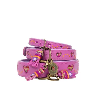 Dog with a Mission - Hippie Hundehalsband Spice