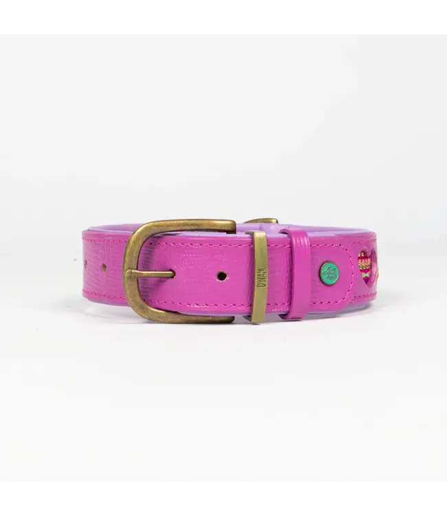 Dog with a Mission - Hippie Hundehalsband Spice