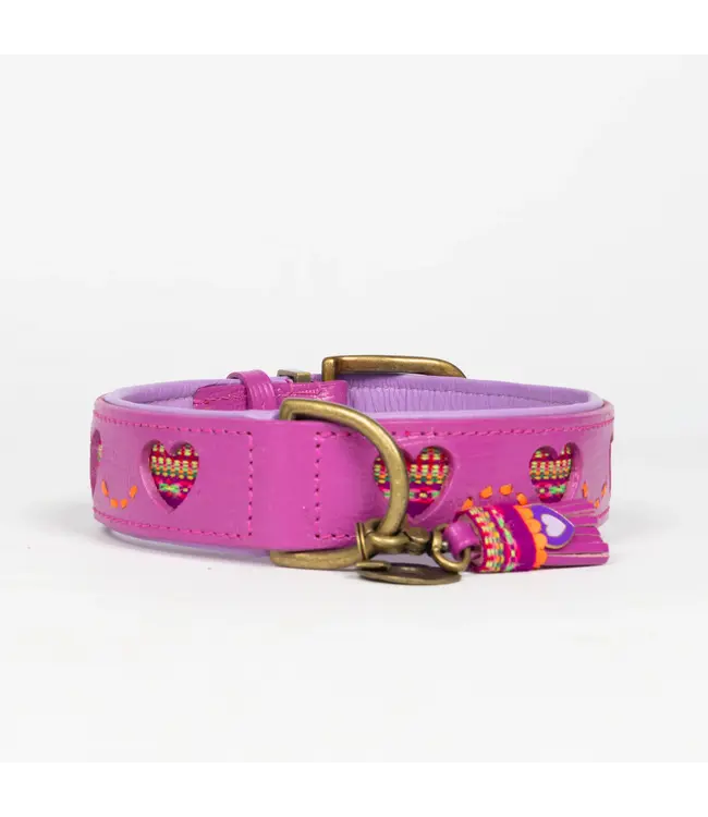 Dog with a Mission - Hippie Hundehalsband Spice