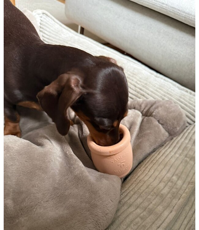 Inooko - Yoomy Pot - Beschäftigungsspielzeug für Hunde