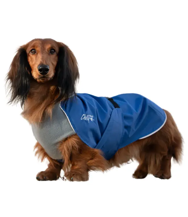 Chilly Dogs - Hundemantel Harbour Slicker - lang und schlank