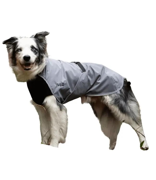 Chilly Dogs - Hundemantel Harbour Slicker