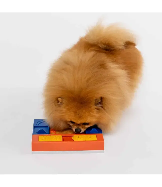 Pawzler - Intelligenzspielzeug Beginner Set - Level 1