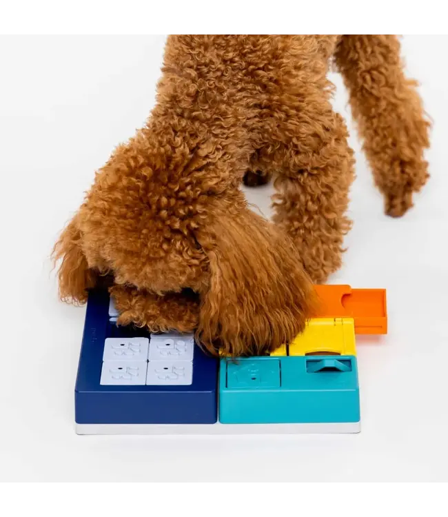 Pawzler - Intelligenzspielzeug Smarty Set - Level 2