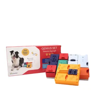 Pawzler - Intelligenzspielzeug Genius Set - Level 3