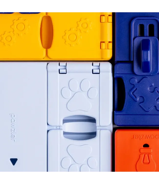 Pawzler - Intelligenzspielzeug Genius Set - Level 3