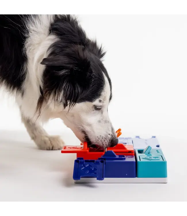 Pawzler - Intelligenzspielzeug Genius Set - Level 3