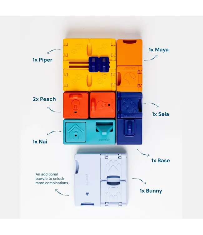 Pawzler - Intelligenzspielzeug Genius Set - Level 3