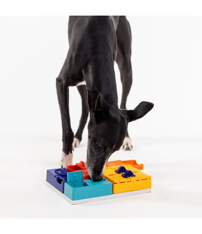 Pawzler - Intelligenzspielzeug Genius Set - Level 3