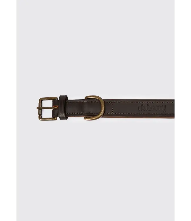 dubarry of Ireland -  Hundehalsband Axel Leder