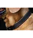 dubarry of Ireland -  Hundehalsband Axel Leder