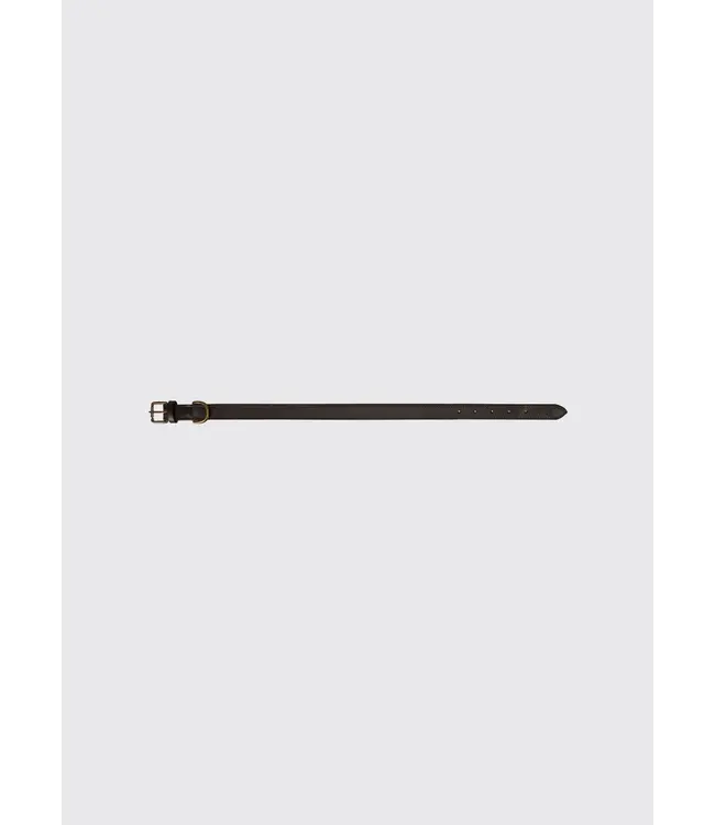 dubarry of Ireland -  Hundehalsband Axel Leder