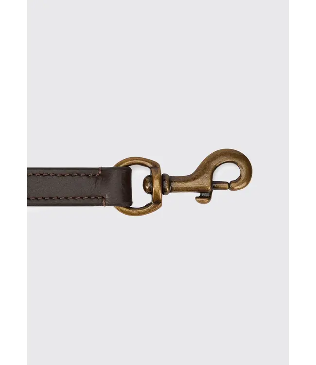 dubarry of Ireland - Hundeleine Ranger Leder