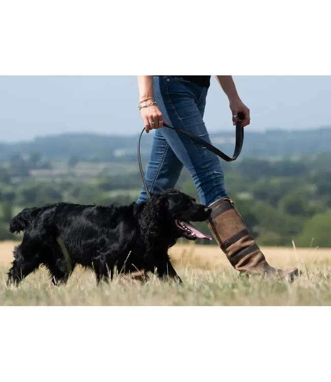 dubarry of Ireland - Hundeleine Ranger Leder