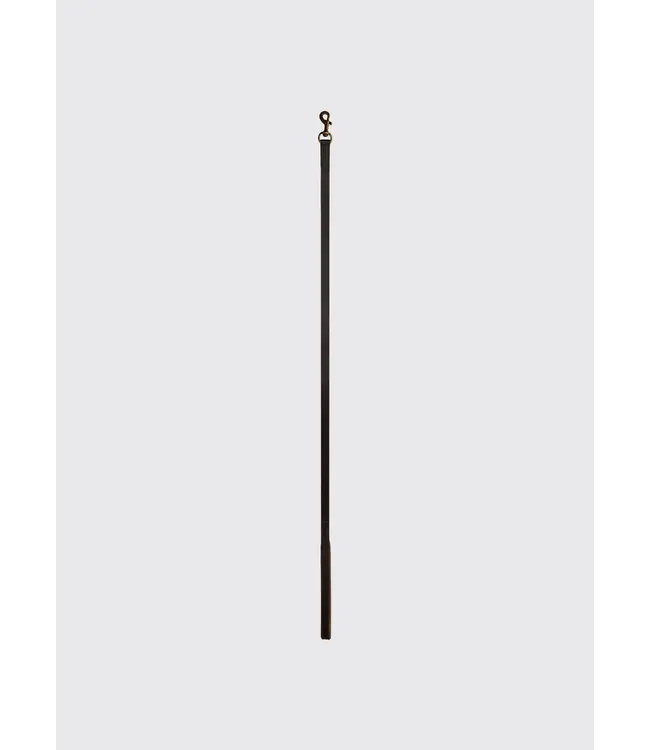 dubarry of Ireland - Hundeleine Ranger Leder