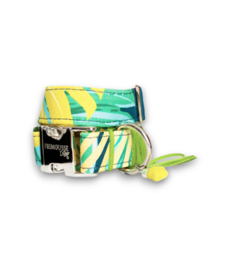 Frimousse Dog - Hundehalsband Bora