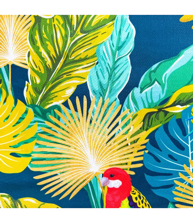 Frimousse Dog - Hundehalsband Bora