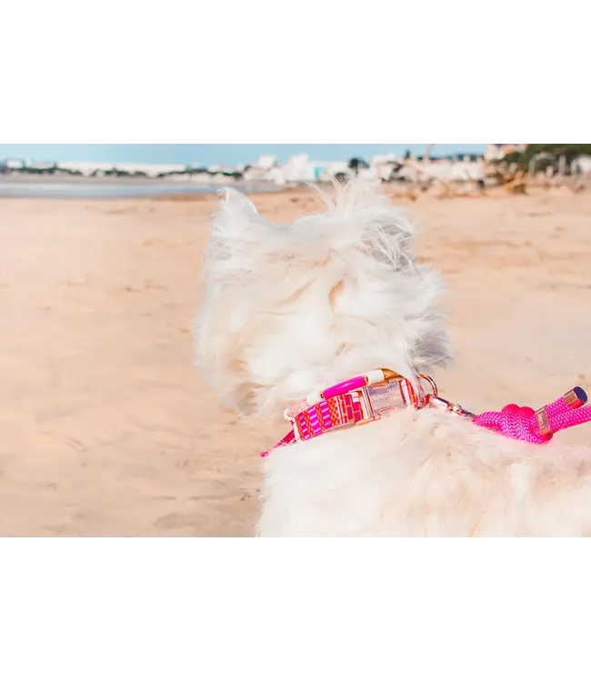 Frimousse Dog - Hundehalsband Britney