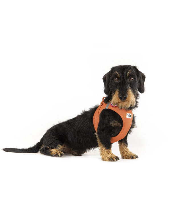 Curli - Hundegeschirr Clasp Air-Mesh Sun Orange