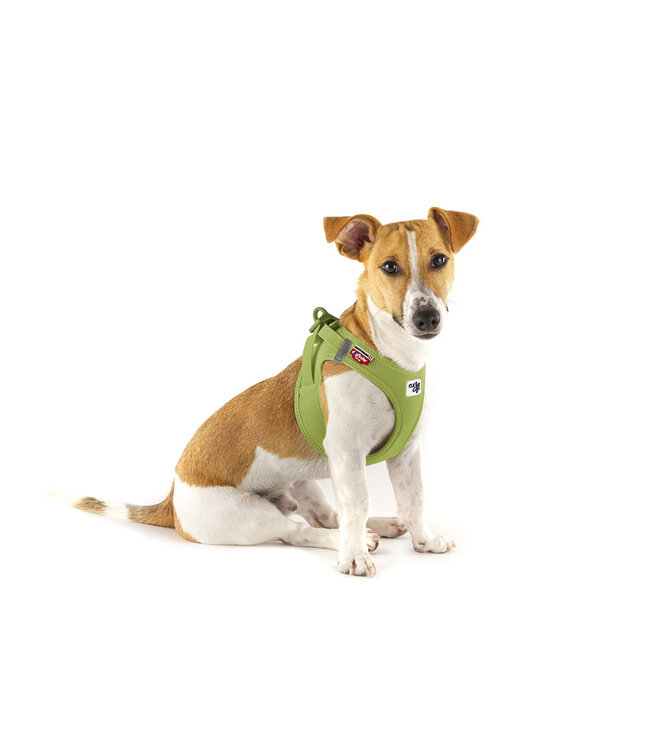 Curli - Hundegeschirr Clasp Air-Mesh Lime