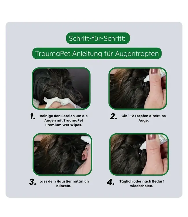 TraumaPet - Augentropfen (10ml)